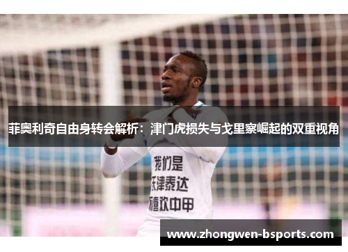 菲奥利奇自由身转会解析:津门虎损失与戈里察崛起的双重视角 菲奥利奇自由身转会解析:津门虎损失与戈里察崛起的双重视角