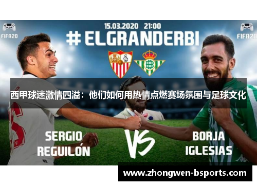 西甲球迷激情四溢：他们如何用热情点燃赛场氛围与足球文化